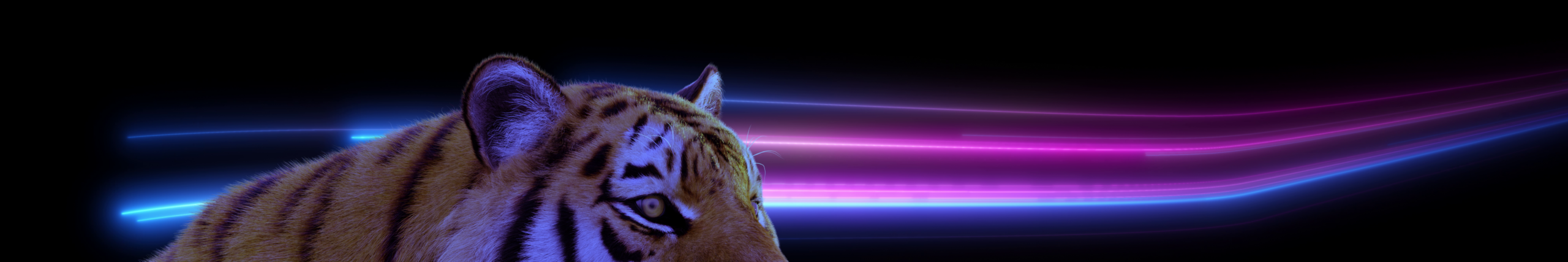 Deloitte 2025 02 (3)